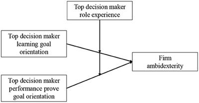 The Curvilinear Relationships Between Top Decision Maker Goal Orientations and Firm Ambidexterity: Moderating Effect of Role Experience